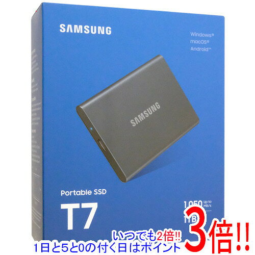 Samsung Portable SSD T7 (1TB)